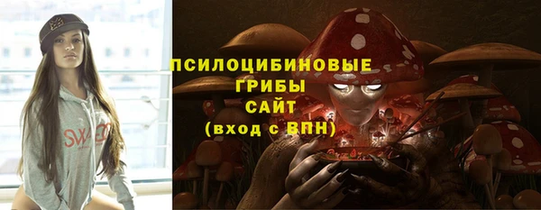 spice Алзамай