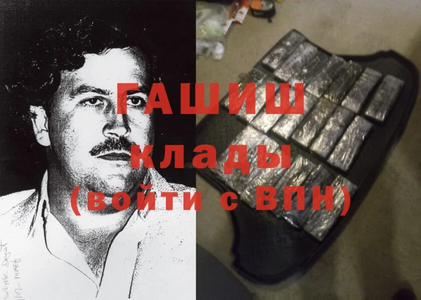прущие грибы Абаза