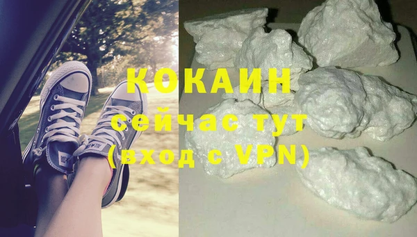 spice Алзамай