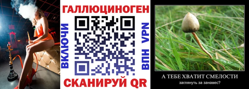 цена наркотик  Аксай  мориарти официальный сайт  Псилоцибиновые грибы GOLDEN TEACHER  МЕГА tor 